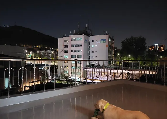 Cozy Rooftop View #12